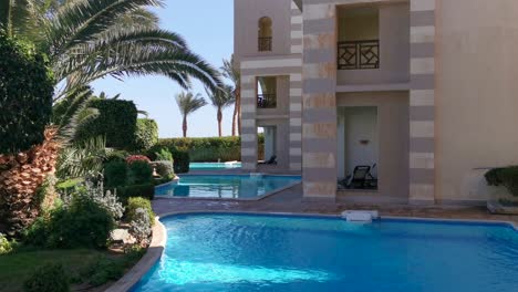 Palm-Tree-leaves-and-pool-water-surface-Beautiful-summer-tropical-background-Through-Palm-Leaves-on-Background.