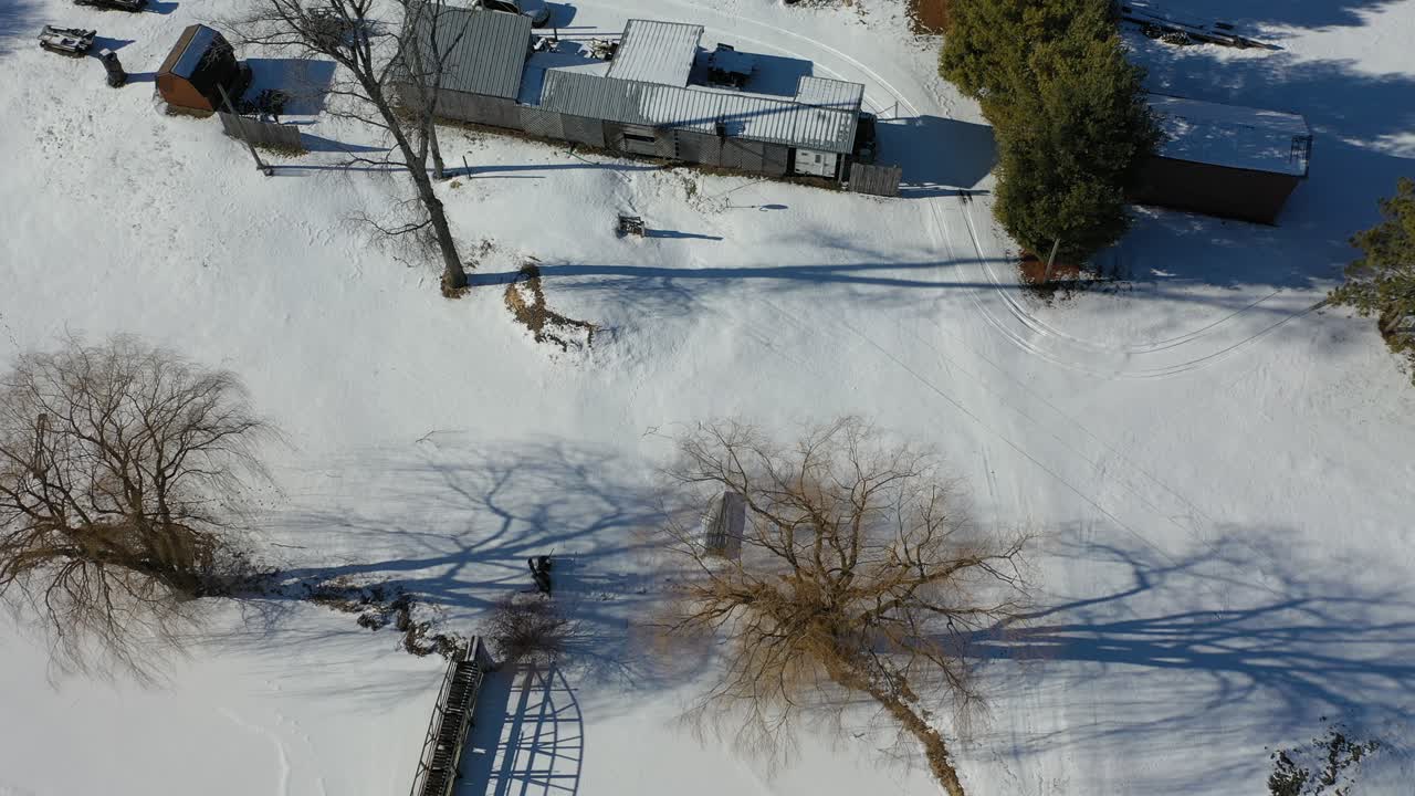 겨울 풍경과 숲의 풍경