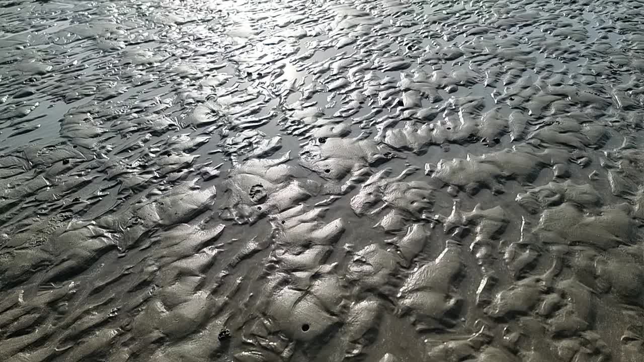 Low tide sunlit beach sand ridges shimmering in the evening sunset sunlight