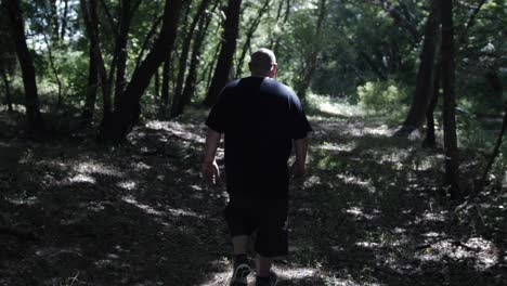 a man walking through forest trees