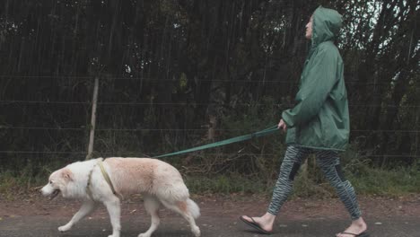 woman walking her cute dog in the rain