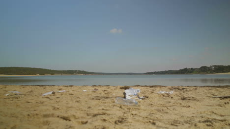 man throwing plastic bottle on beach