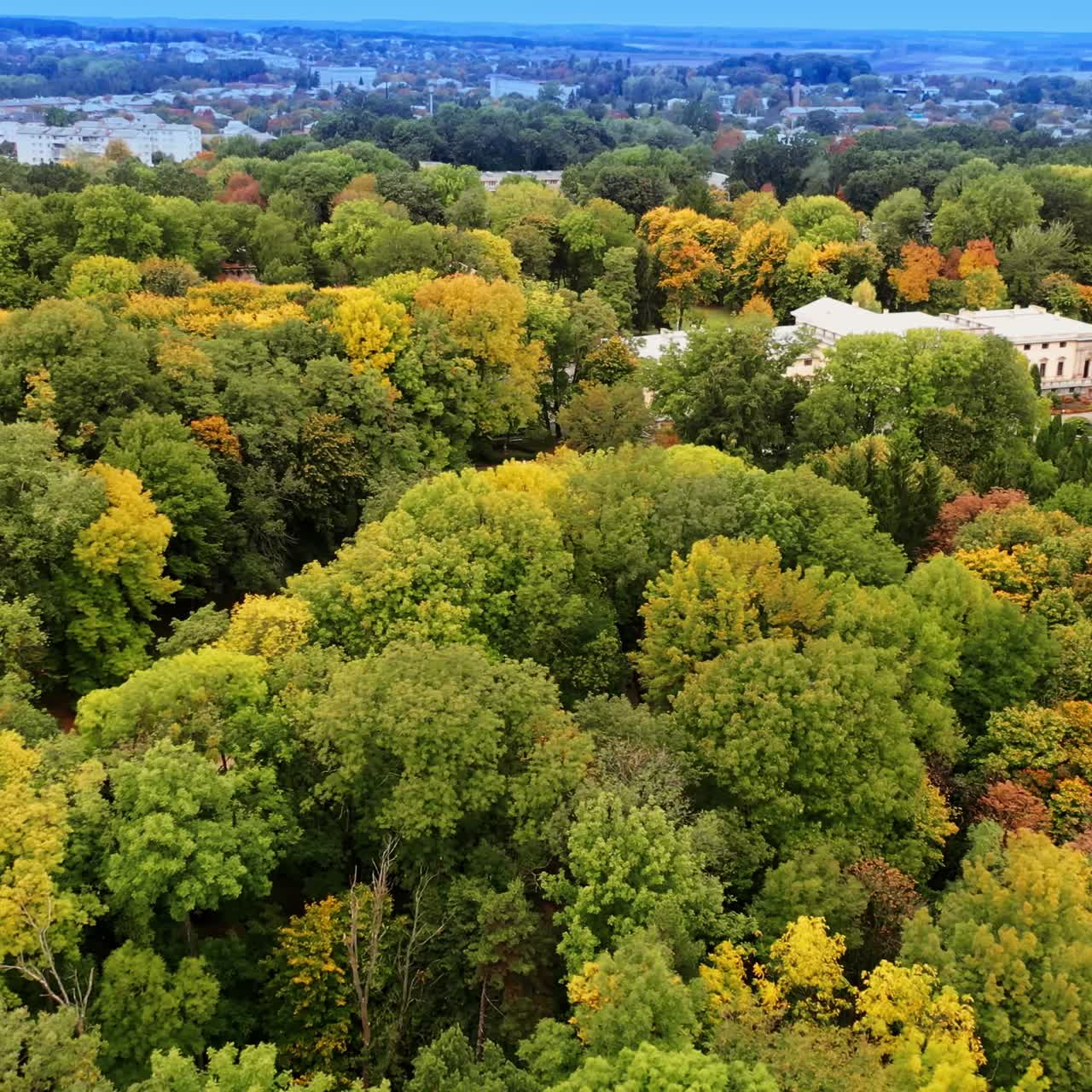 Beautiful trees of different colors growing around the marvelous palace. Cityscape at backdrop in haze