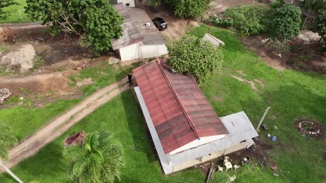 abrazo aéreo: sentir el calor verde del campo