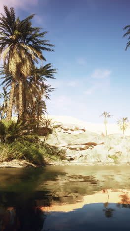 serene oasis in the desert