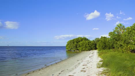 Emerson-Point,-Bradenton-Florida,-Playa,-Arena-Blanca,-Cielos-Azules,-árboles-Verdes,-Manglares