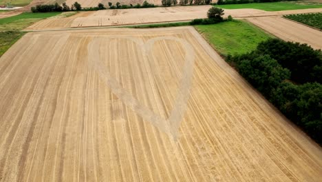 Heart-Pattern-In-Golden-Grain-Field---Aerial-Drone-Shot