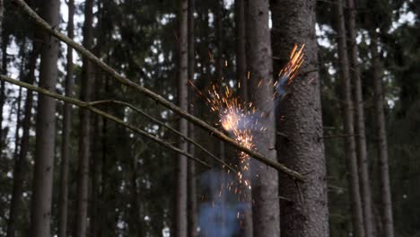 slowmotion of small firework explosion on tree branch
