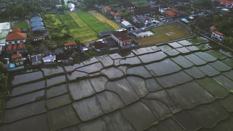 Vista-Superior-Aérea-De-Los-Arrozales-En-La-Noche---Ubud,-Bali---Indonesia