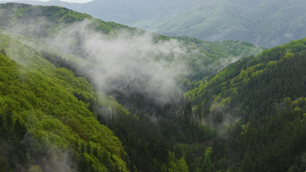 Serene and atmospheric view of a misty mountain valley with fresh green trees and soft morning light. The quiet nature of Bulgaria’s countryside brings a sense of calm and timeless beauty.