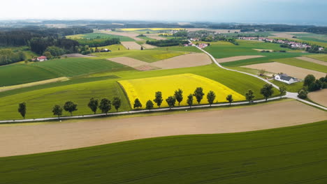 embark on a whimsical journey as the drone gracefully skims over a picturesque bavarian field, revealing the artistry of cut grass and sprawling landscapes