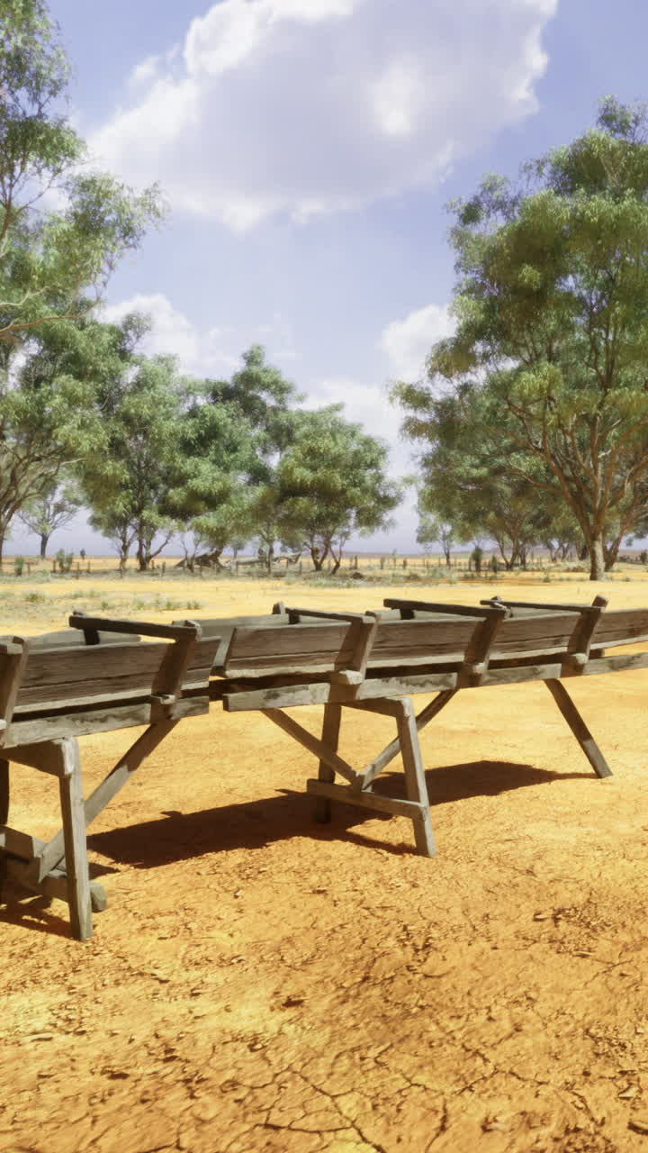 Serene landscape with old wooden benches under the blue sky in nature