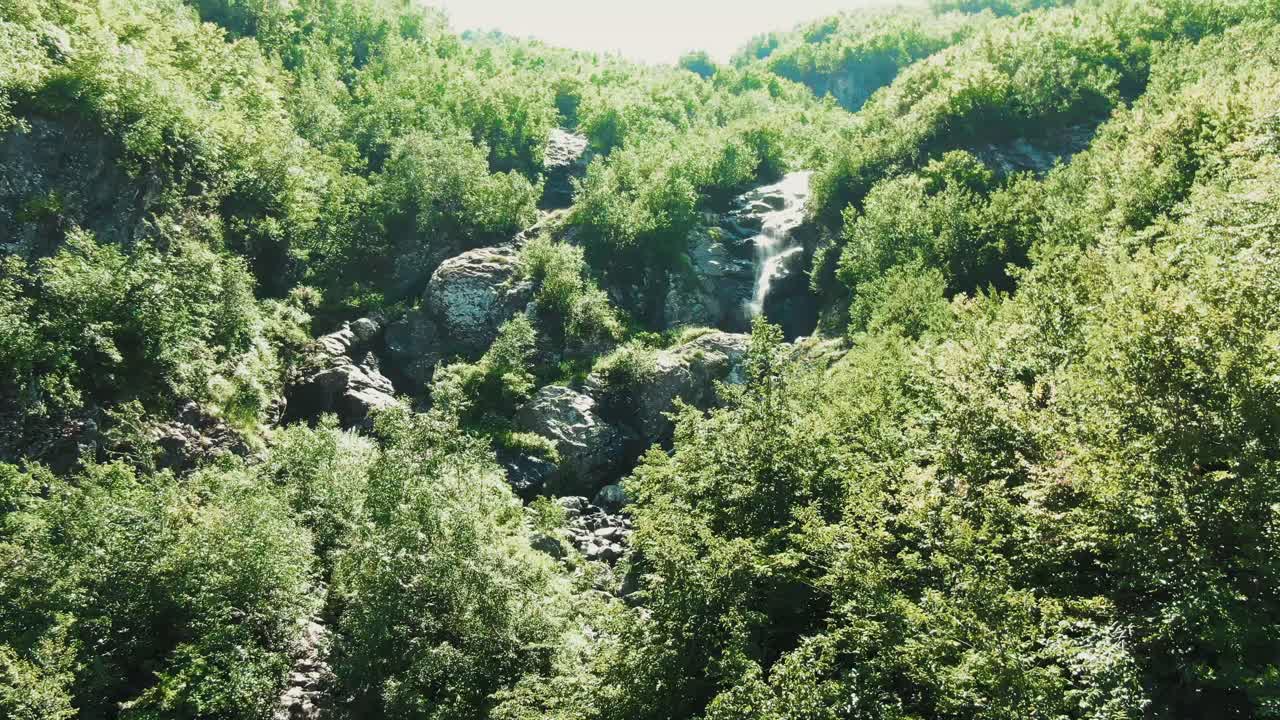 울창 한 숲 에 있는 산 의 폭포