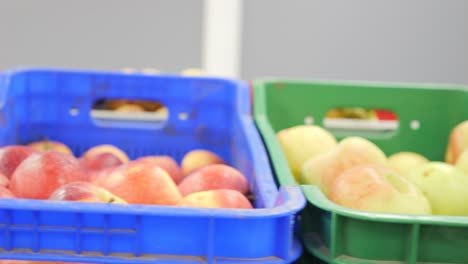 Close-up-panning-shot-over-bins-of-fresh-fruits-and-vegetables