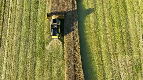 High-angle-aerial-view-of-a-combine-harvester-operating-in-a-field,-with-sections-of-harvested-and-lush-crops-visible,-framed-by-trees