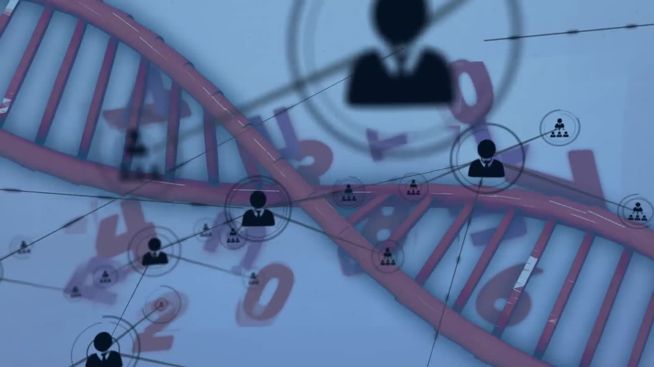 숫자와 dna 가닥 스핀링을 통한 연결 네트워크의 애니메이션