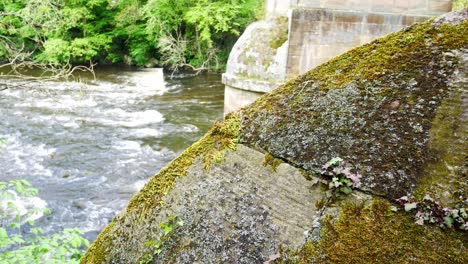 River-flowing-around-moss-covered-foundation-stones-in-lush-scenic-rocky-creek-wilderness-dolly-left