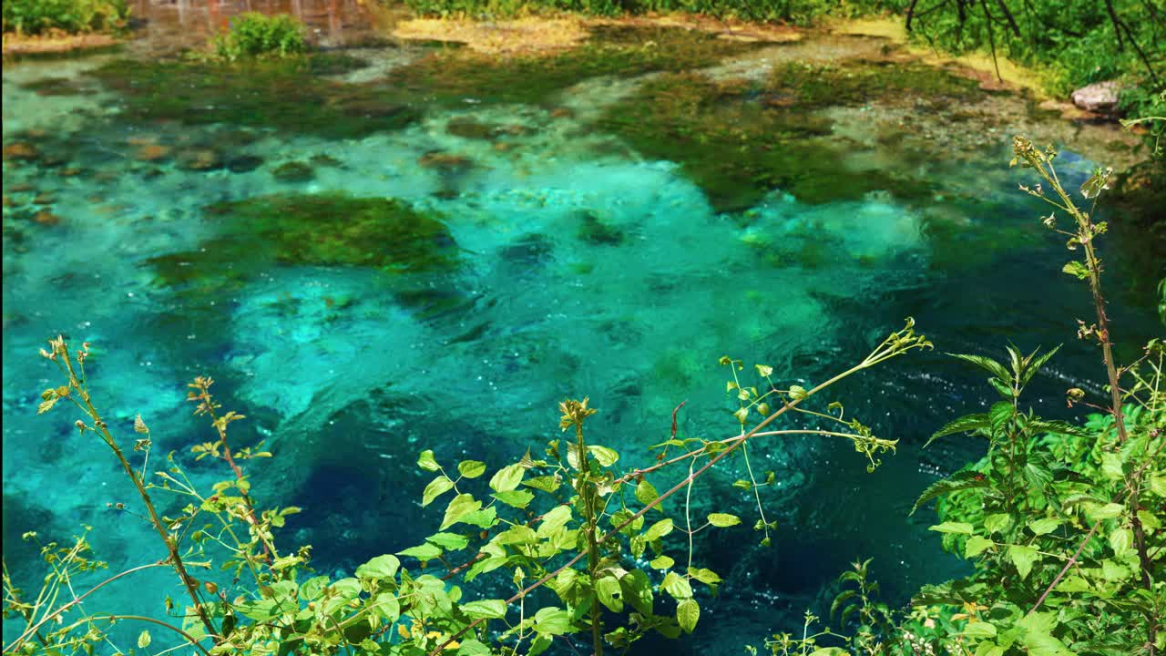 Sparkling turquoise spring water at Syri i Kaltër Blue Eye with green plants and dragonflies nearby