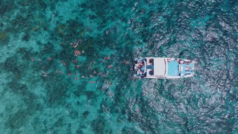 personas buceando sobre arrecifes de coral en agua de mar turquesa, elevación aérea