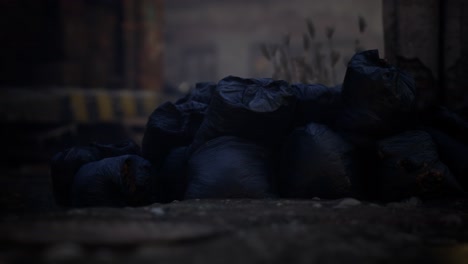 Plastic-trash-bags-on-curb-outside-city-building