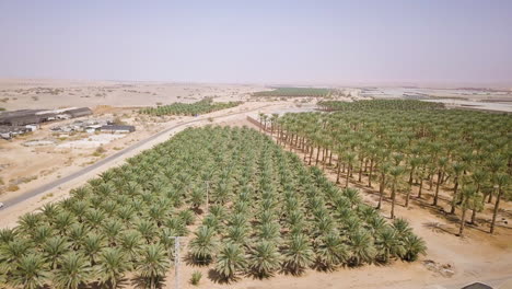 Toma-Aérea-Del-Desierto-De-Arava-En-Israel-Con-Vista-A-Los-Campos-Agrícolas---Retrocediendo