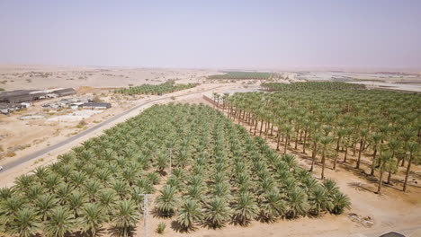 toma aérea del desierto de arava en israel con vista a los campos agrícolas - retrocediendo