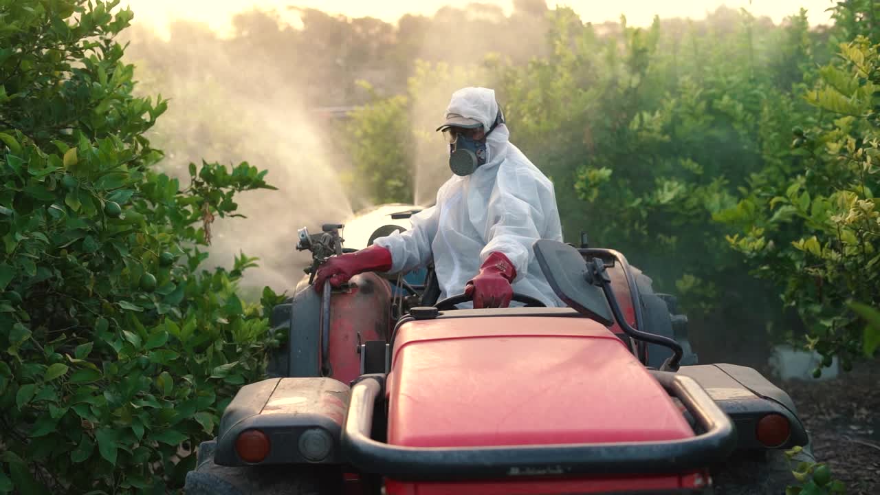 Anonymous farmer spraying pesticide on lemon trees while riding tractor