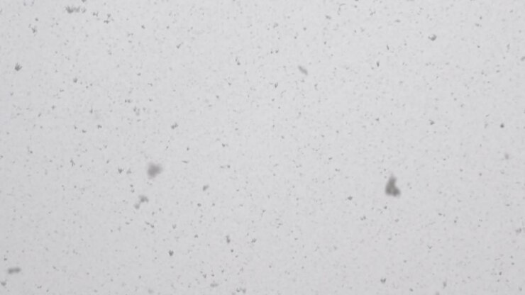 la nieve cayendo: un país de las maravillas del invierno