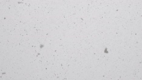 雪が降る: 冬の不思議の国