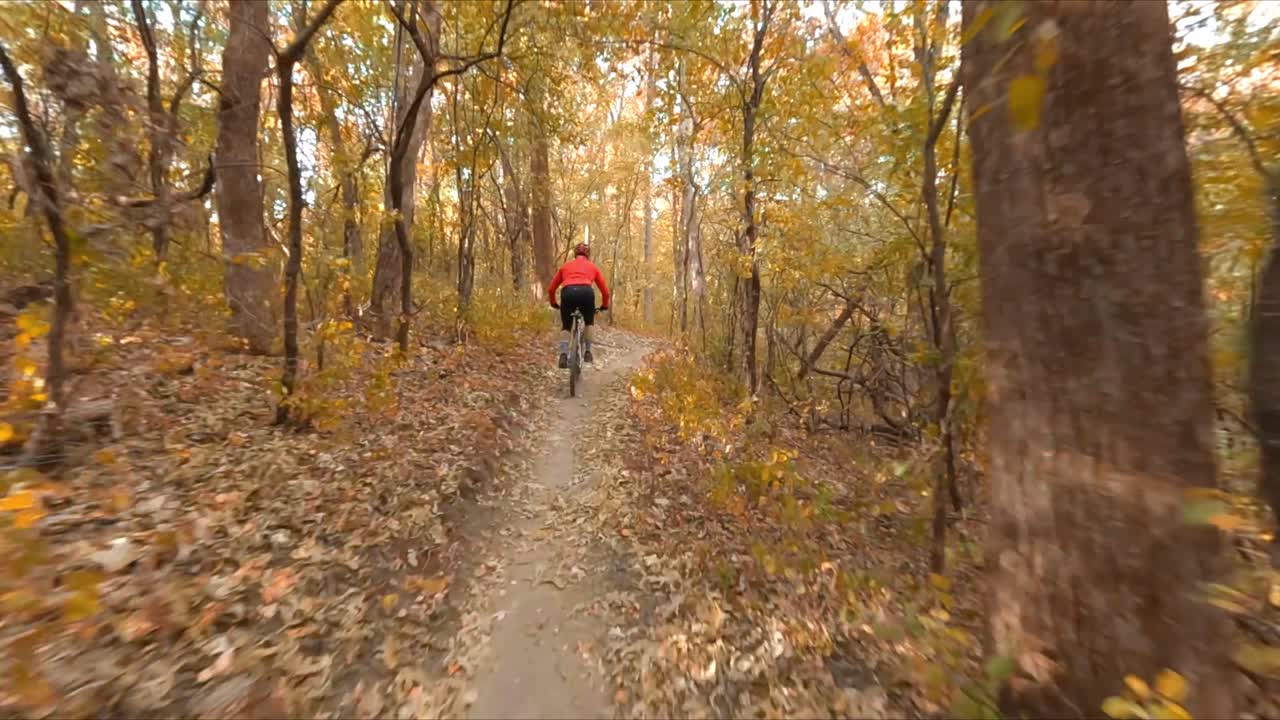 FPV drone, mountain biker biking on a dirt path in forest during autumn season