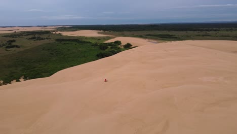 orbita aérea alta mujer y perro en una enorme duna de arena en el centro de bolivia