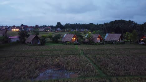 Row-of-thatched-bungalows-in-hut-style-amid-rural-nature-and-rice-fields,-evening-Drone-shot