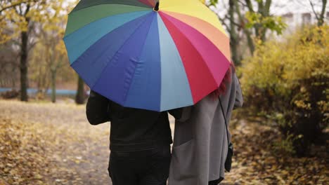 Back-view-of-a-young-couple-walking-together-in-autumn-park-holding-a-colorful-umbrella-and-twisting-it