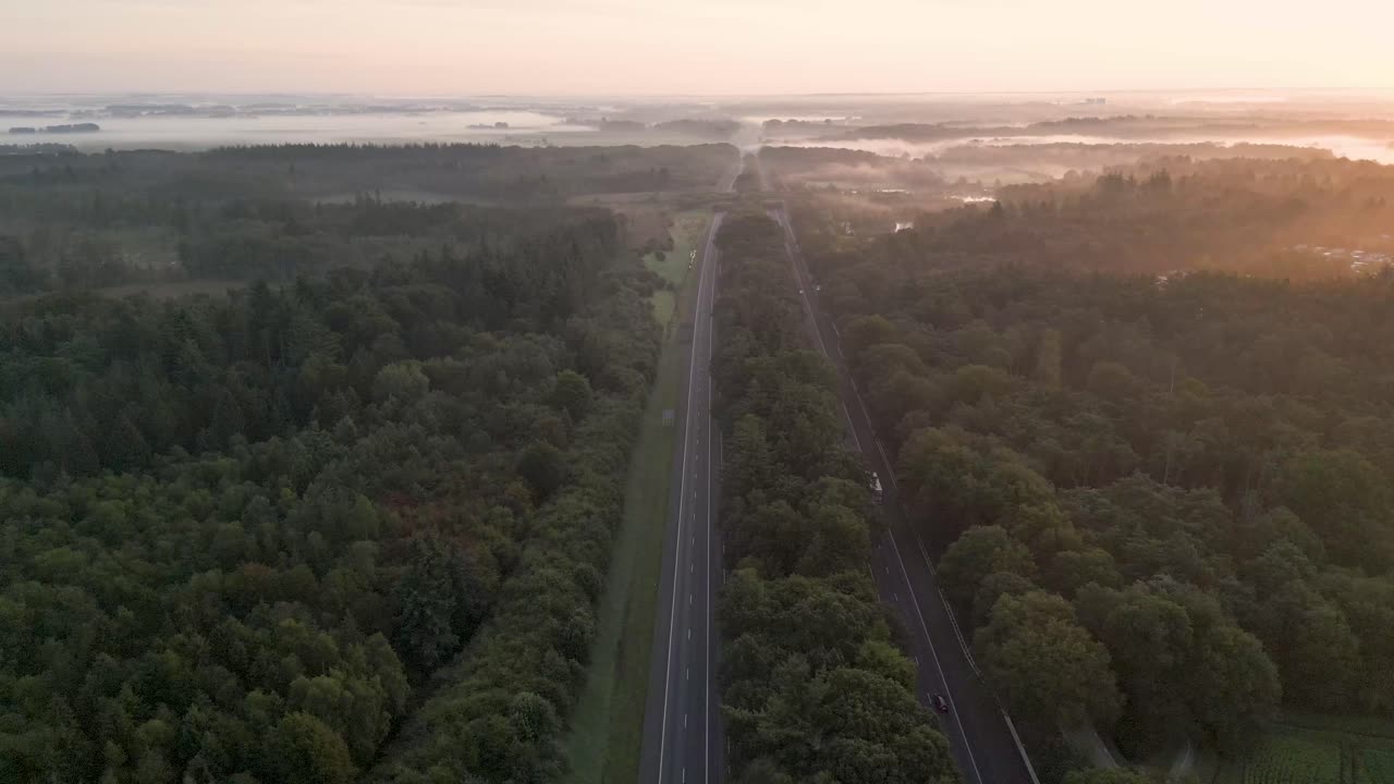 Misty Sunrise Over a Forest Road
