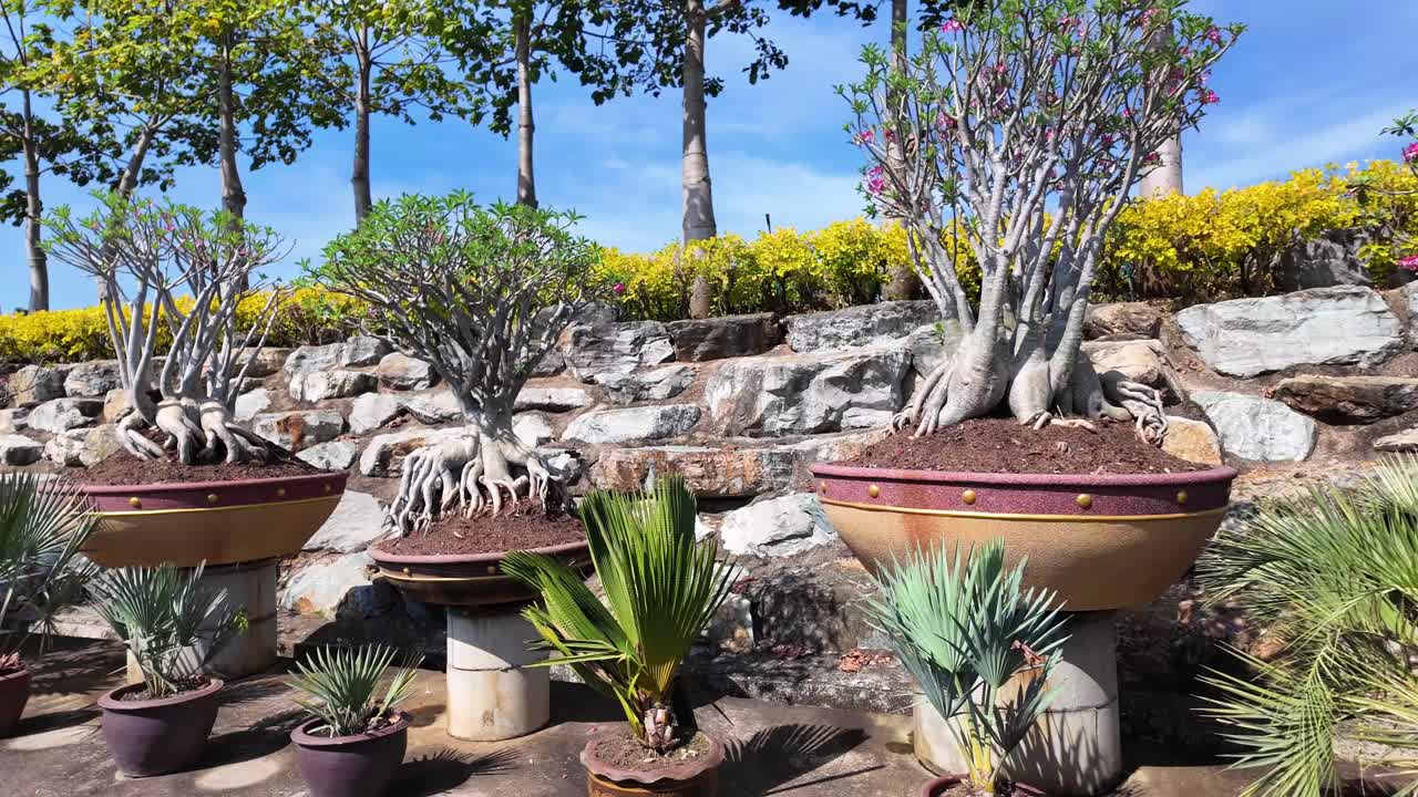 Nong Nooch Botanical Garden Pattaya Thailand tourist attraction outdoor