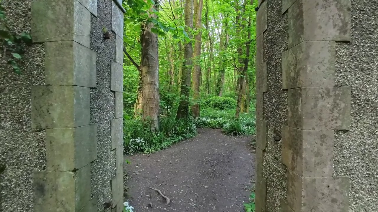 Incantevole sentiero boschivo di aglio selvatico che conduce a un antico ingresso segreto di un giardino tra rovine di pilastri in pietra