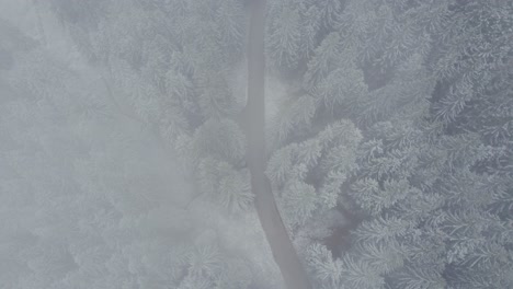 從雲端向下移動,揭示一條蜿蜒的道路,穿過一片被雪覆蓋的茂密森林