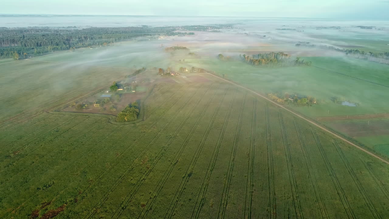 alta vista aérea sobre verdes prados y bosques bajo nubes transparentes bajas