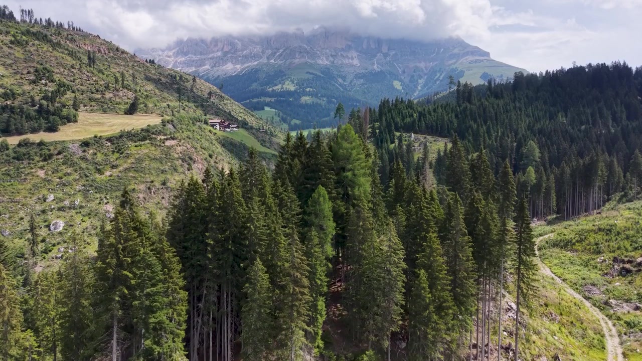 Drone che sale sopra una fitta foresta alpina rivelando drammatiche cime montuose sotto nuvole basse nell'Italia settentrionale.