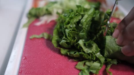 chop lettuce with salad