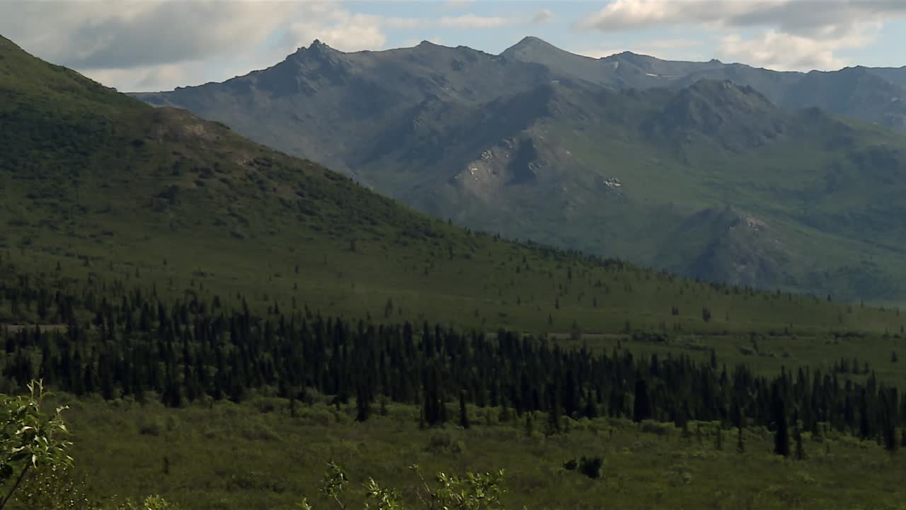Sloped Terrain and Ridge Mountains of Denali National Park, Alaska, seen from valley