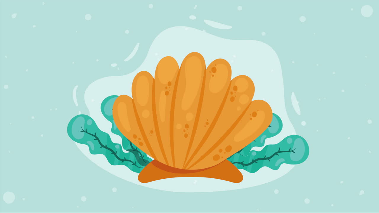 animación de conchas marinas y algas naranjas