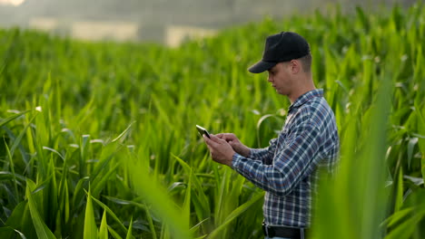 Agricultor-Que-Utiliza-Una-Tableta-Digital-Cultivando-Una-Plantación-De-Maíz-En-El-Fondo.-Aplicación-De-Tecnología-Moderna-En-El-Concepto-De-Actividad-Agrícola-Creciente.