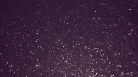 abstract bokeh particles in purple