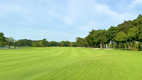 lush green fairway with surrounding trees