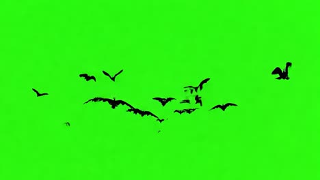 a flock of bats flying against a green screen