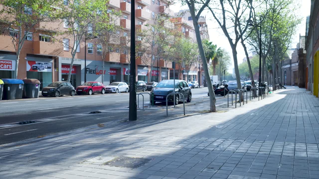 City street scene with parked cars and trees