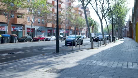 city street scene with parked cars and trees