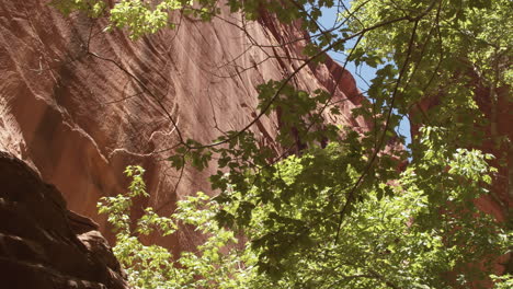 wide tracking shot of the long canyon slot in the grand staircase escalante national monument