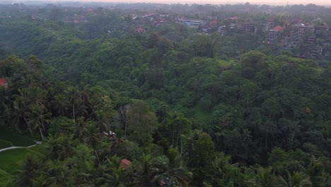 A-breathtaking-drone-shot-showcases-the-beauty-of-Bali's-landscape-with-lush-green-rice-paddies-and-forest